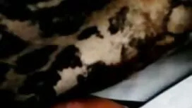 إنها تضاجع (تشاتشا)  ...