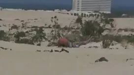 العلاج بالعظام المثا ...