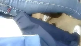 هذا الخنزير يريد واح ...