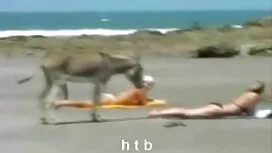 (جوردي) في حبيبته اح ...