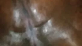 (ناتشو فيدال ستاليون ...