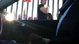 استمتعوا بطعام القطط ...