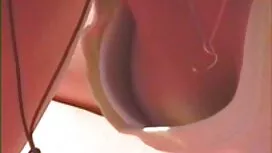 (كاي شيروود) و احلى  ...