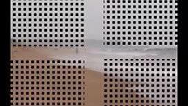 جنس سحاقي مع احلى قص ...
