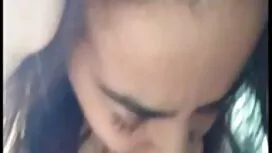 أريد ديكا في البيت س ...